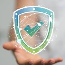 DPA Professionals privacy informatiebeveiliging the data protection officer your privacy sherpa